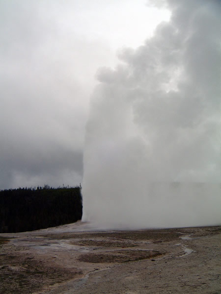 Old Faithful