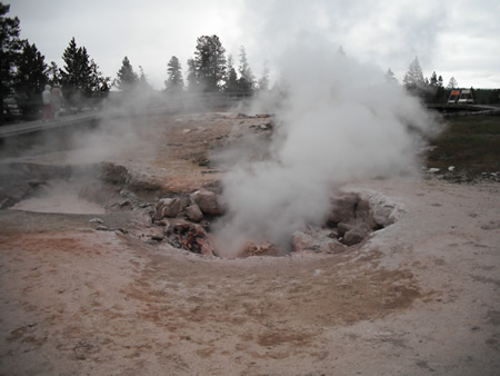 Steam vents
