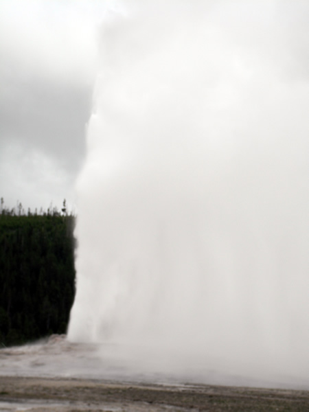 Old faithful